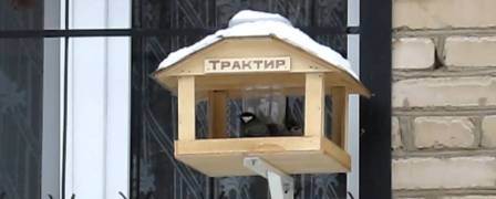 Годівниця для птахів своїми руками з ламінату: покрокова інструкція як зробити годівницю для птахів з ламінату