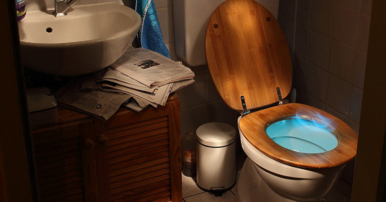 Для чого в радянських унітазах робили спеціальну поличку