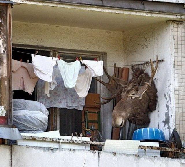 Порядок на російських балконах велика рідкість