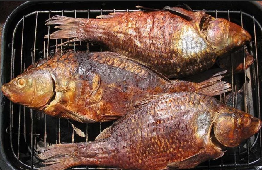 Як вибрати коптильню: правила вибору коптильні для будинку (дачі) гарячого копчення.